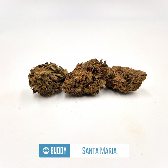 Fleurs CBD Santa maria Outdoor