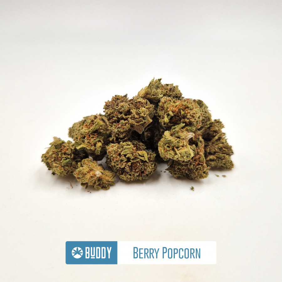 Raspberry Big Popcorn - Greenhouse