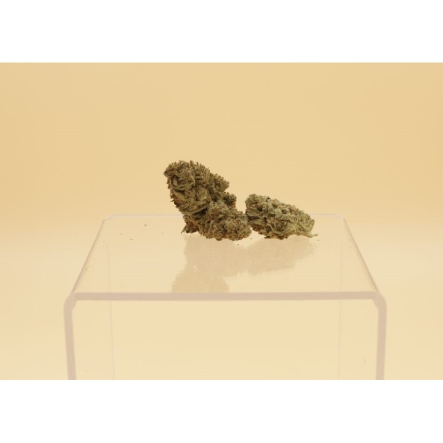 Fleurs CBD Blueberry Muffin Indoor