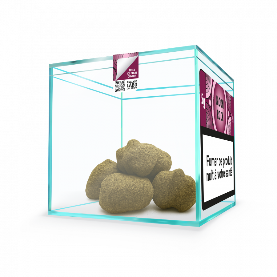 ZION MOON ROCK - Cube 5g
