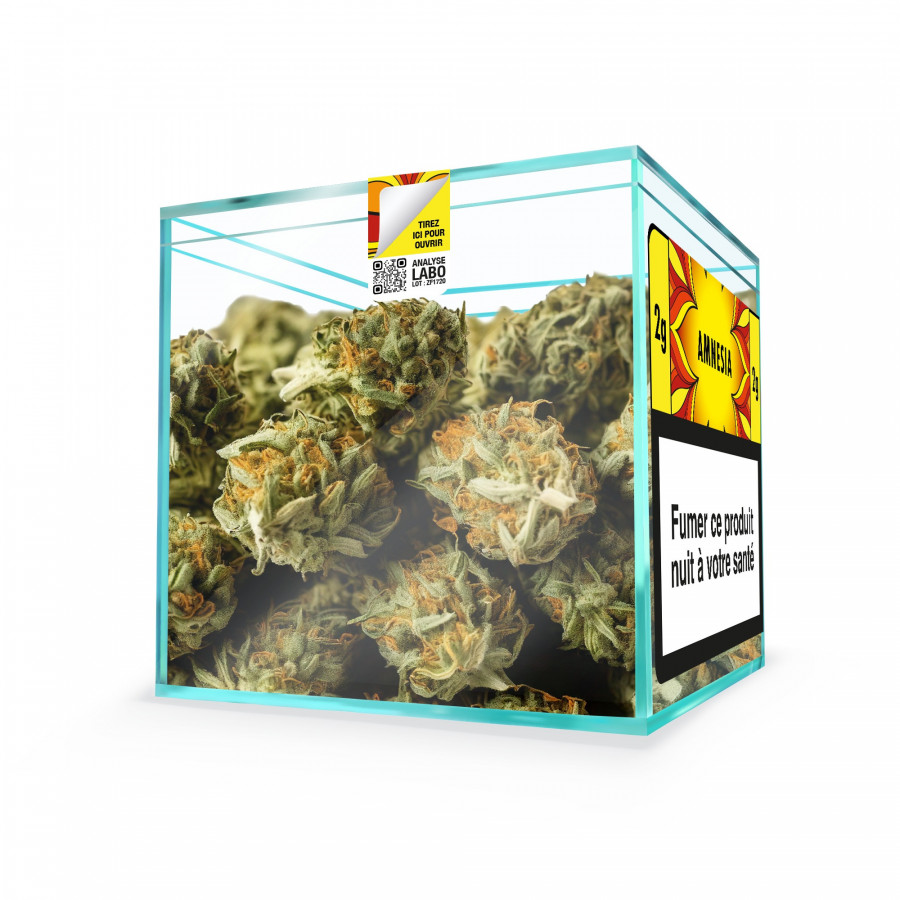 ZION AMNESIA - Cube 2g
