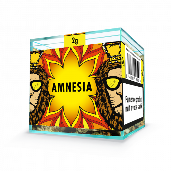 ZION AMNESIA - Cube 2g