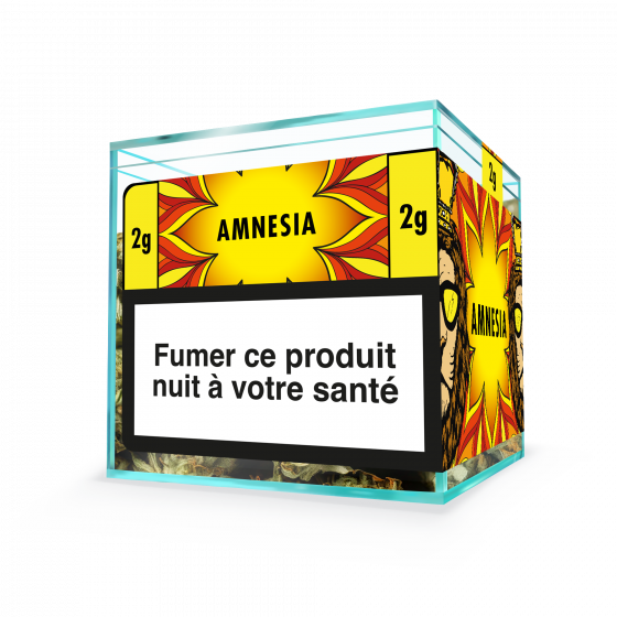 ZION AMNESIA - Cube 2g