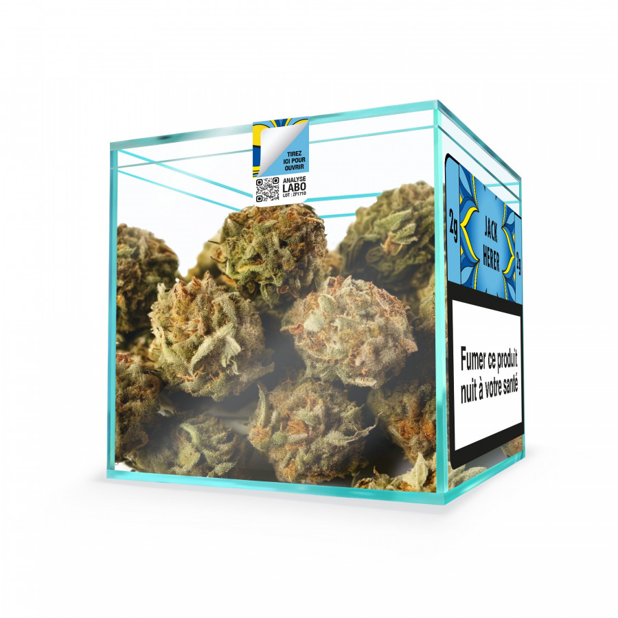 ZION JACK HERER - Cube 2g
