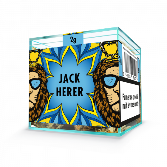 ZION JACK HERER - Cube 2g