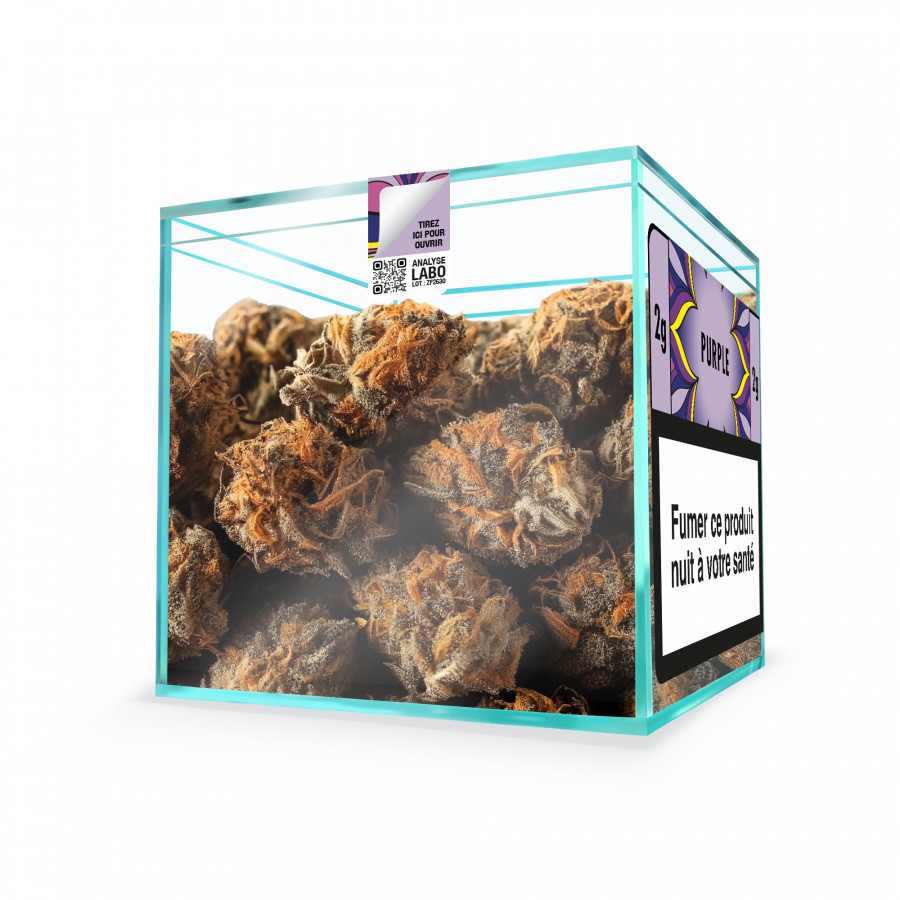 ZION PURPLE - Cube 2g