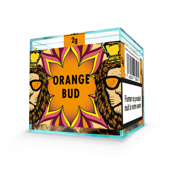 ZION ORANGE BUD - Cube 2g