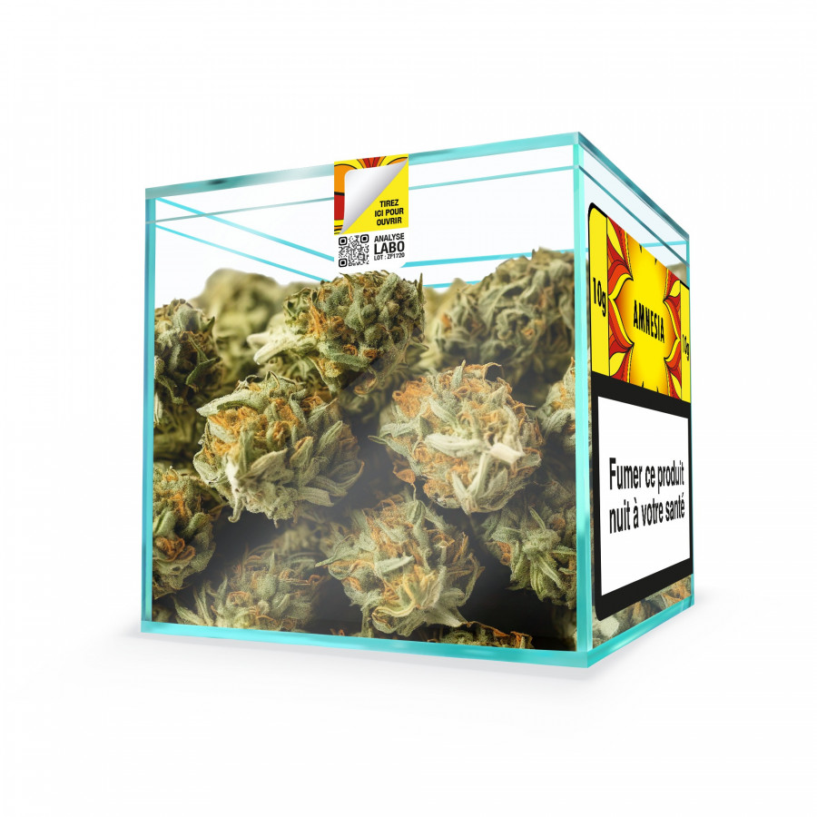 ZION AMNESIA - Cube 10g
