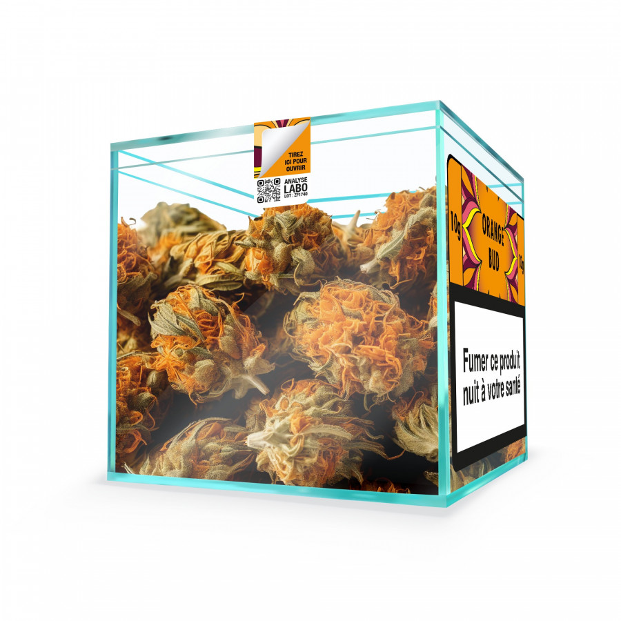 ZION ORANGE BUD - Cube 10g