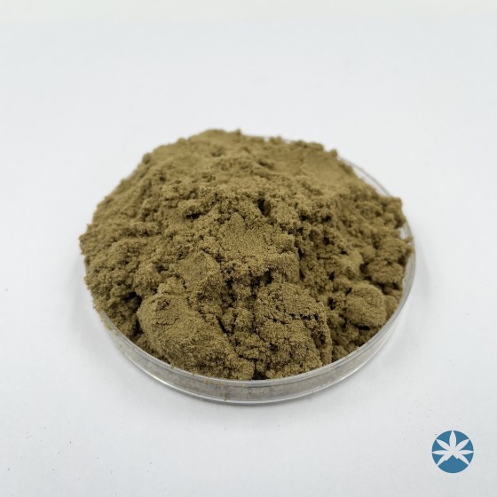 Pollen CBG 100µm (batch L)
