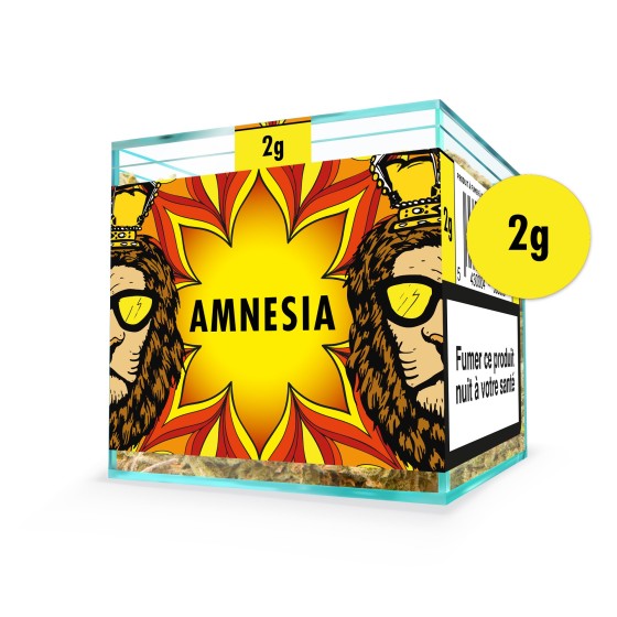 ZION AMNESIA - Cube 2g