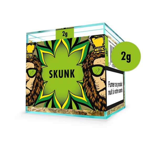 ZION SKUNK - Cube 2g