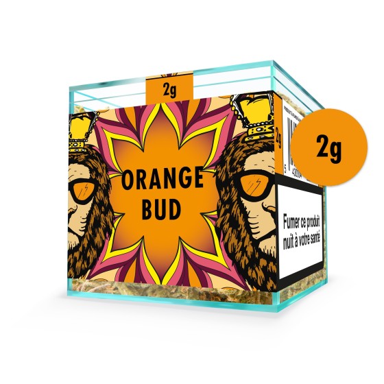 ZION ORANGE BUD - Cube 2g