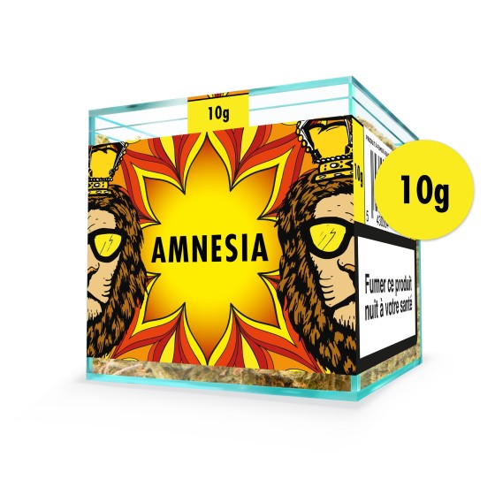 ZION AMNESIA - Cube 10g
