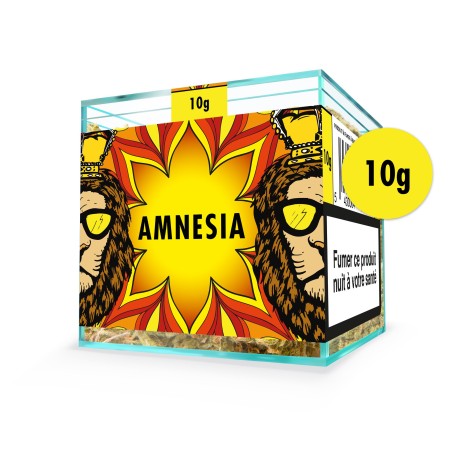 ZION AMNESIA - Cube 10g