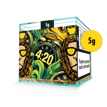 ZION FOUR-TWENTY - Cube 5g