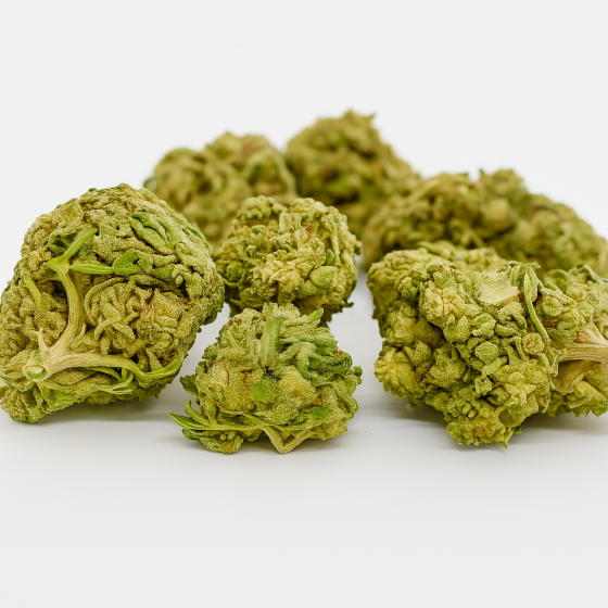 CBG  - Greenhouse - 330