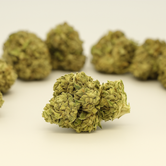 CBG  - Greenhouse - 330