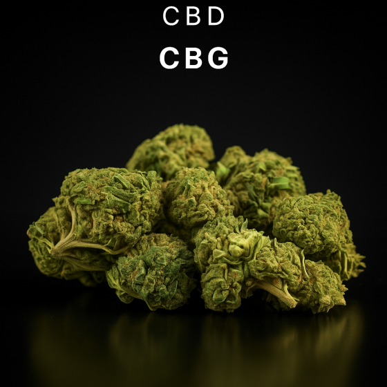 CBG  - Greenhouse - 330