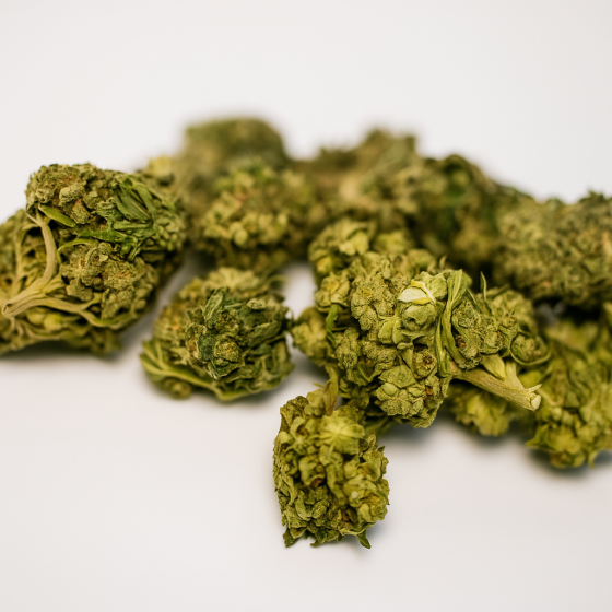 CBG  - Greenhouse - 330