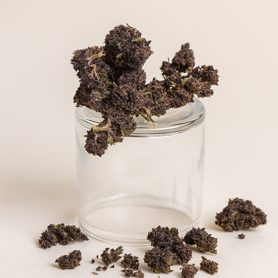 Purple Haze Popcorn  - Greenhouse - 199SB