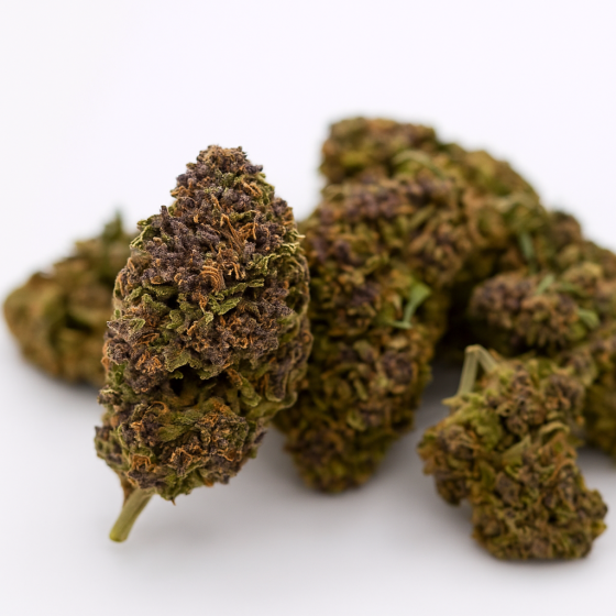 HAZE - Greenhouse - 317 BB