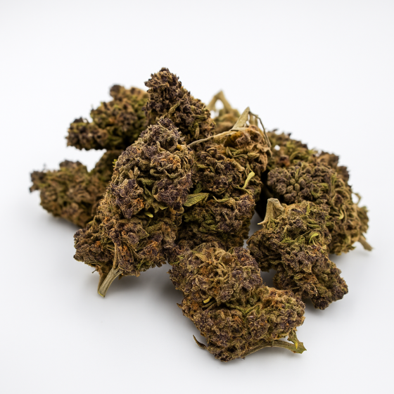 HAZE - Greenhouse - 317 BB