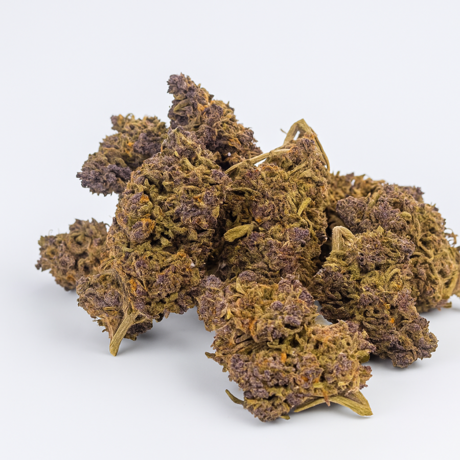 HAZE - Greenhouse - 317 BB