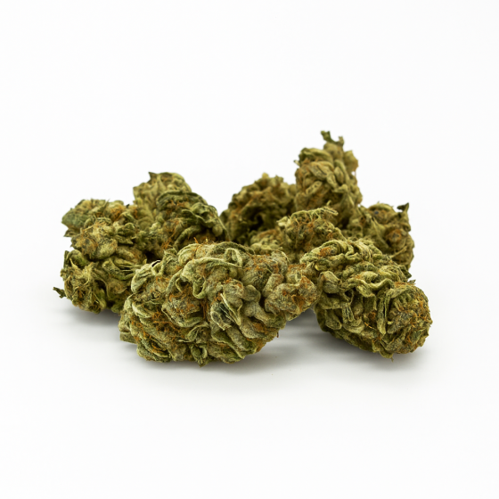 Strawberry Popcorn - Greenhouse - 270-268