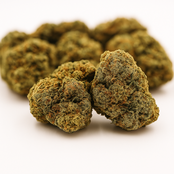 Blackberry - Greenhouse - 267