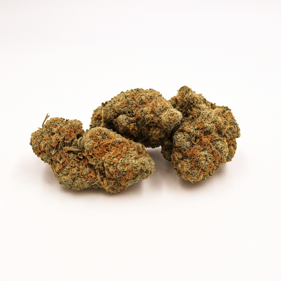 Blackberry - Greenhouse - 267