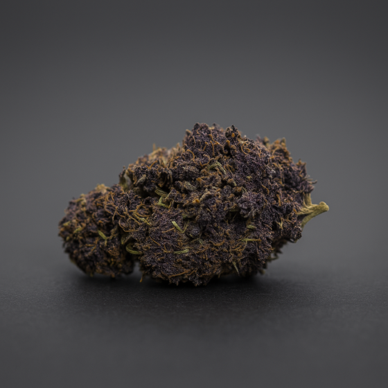 Purple Haze - Greenhouse - 199