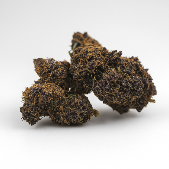 Purple Haze - Greenhouse - 199