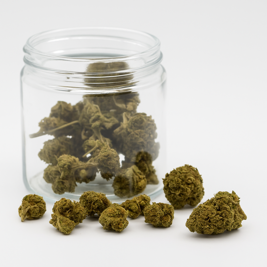 Lemon Popcorn  - Greenhouse - 331