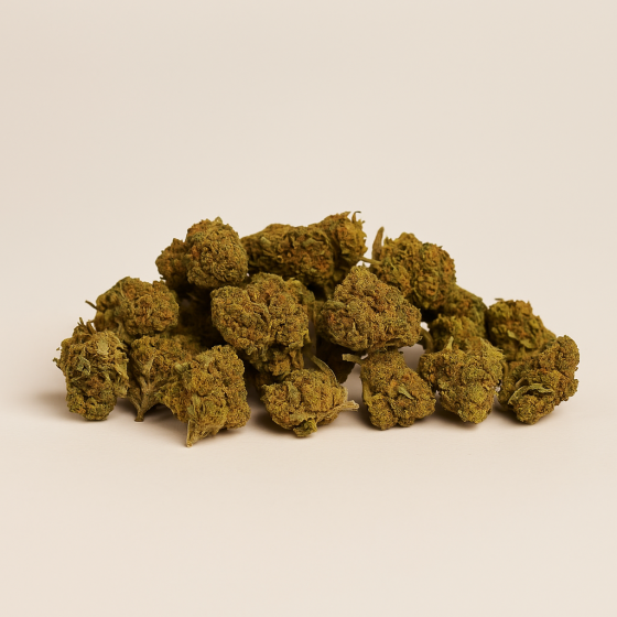 Lemon Popcorn  - Greenhouse - 331