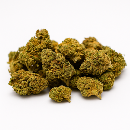 Lemon Popcorn  - Greenhouse - 331