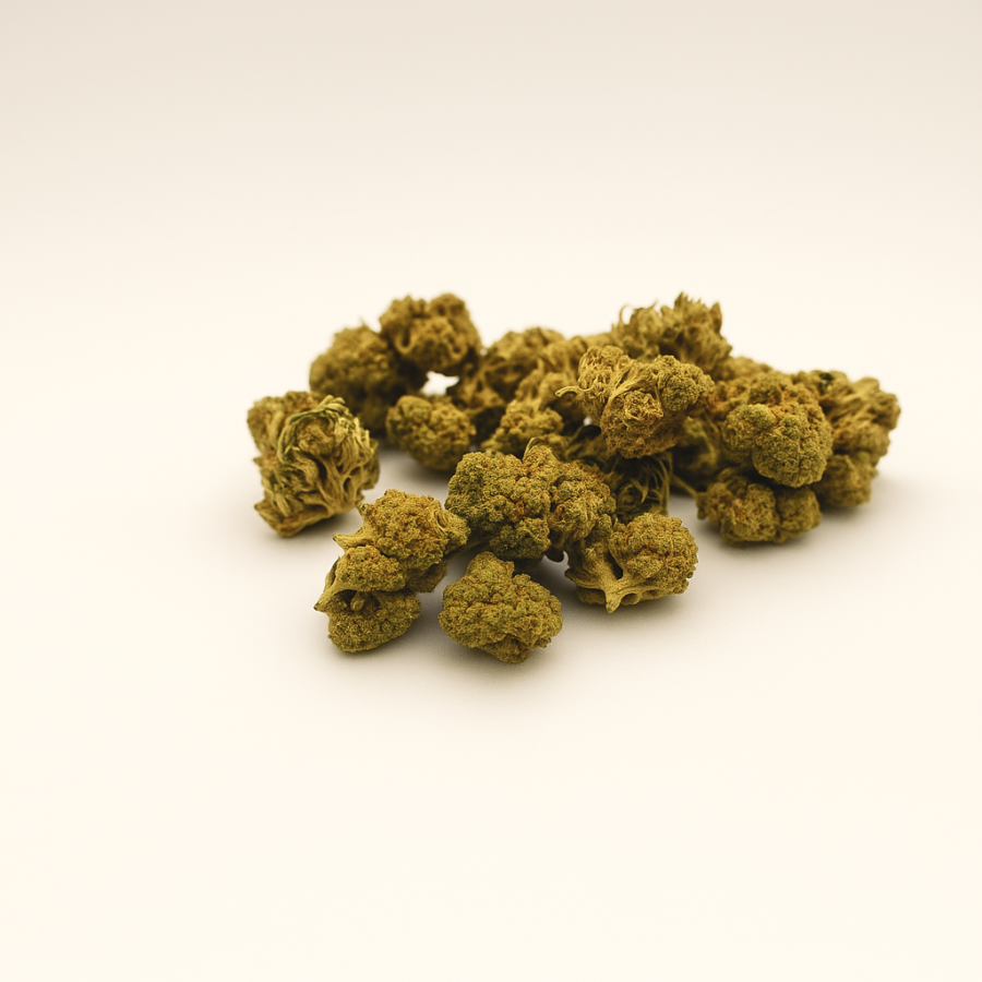Lemon Popcorn  - Greenhouse - 331