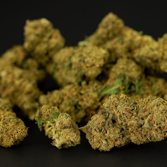 Zookies - Outdoor - 255