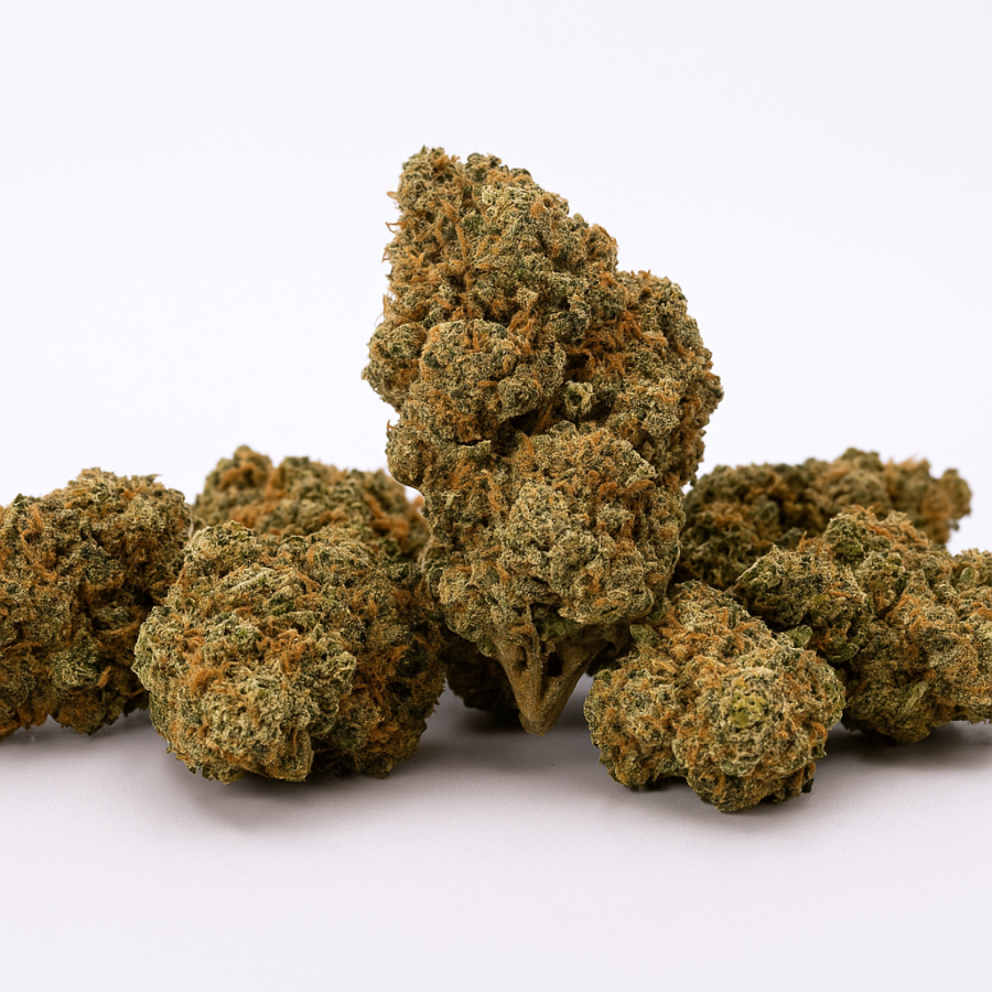 Zookies - Outdoor - 255