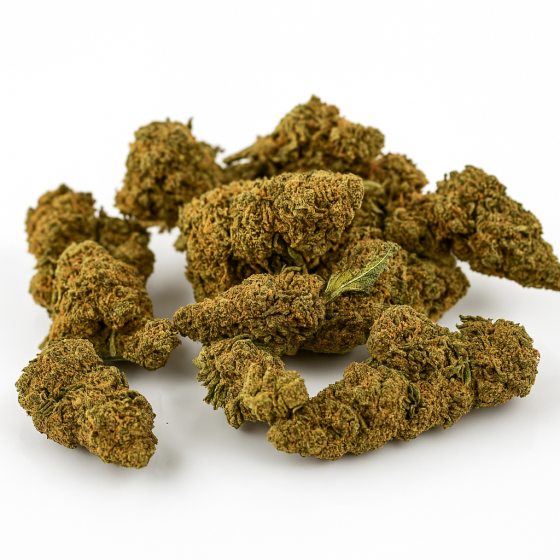 Zookies - Outdoor - 255