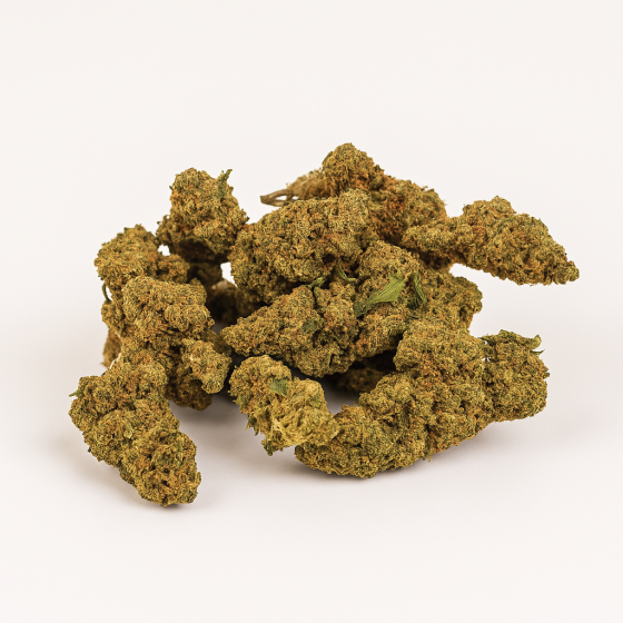Zookies - Outdoor - 255