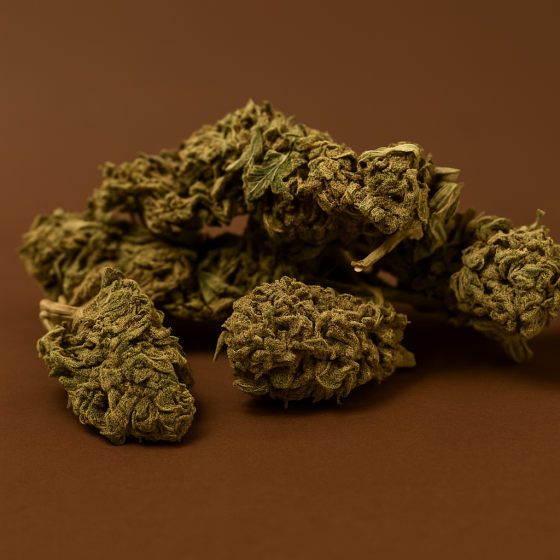 Cookies - Outdoor - 318
