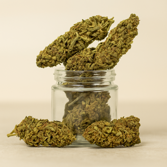 Cookies - Outdoor - 318
