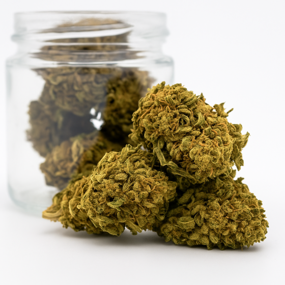 Cookies - Outdoor - 318