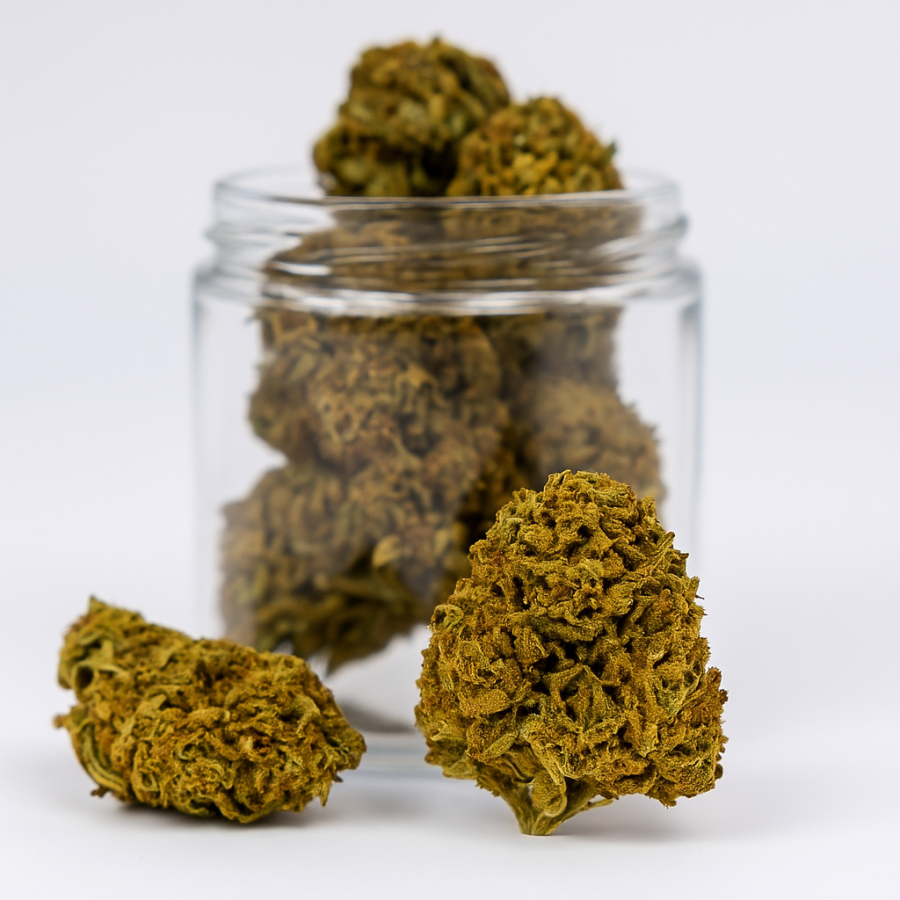 Cookies - Outdoor - 318