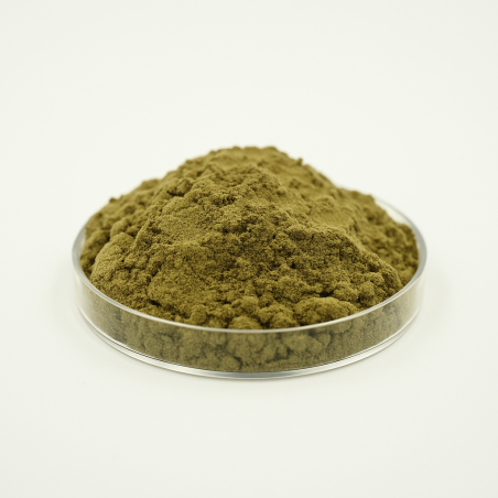 Pollen CBG 100µm (batch L)