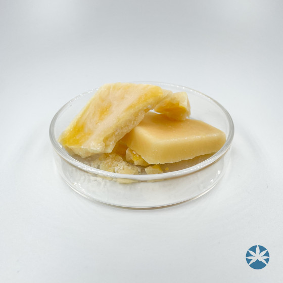 Extraction CBD Terpsolate