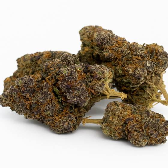 Purple Blueberry Muffin - Indoor - 236