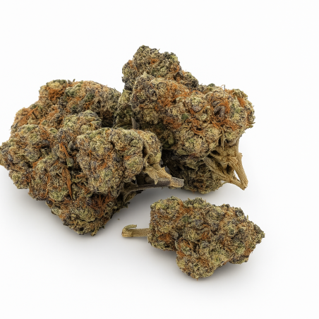 Purple Blueberry Muffin - Indoor - 236
