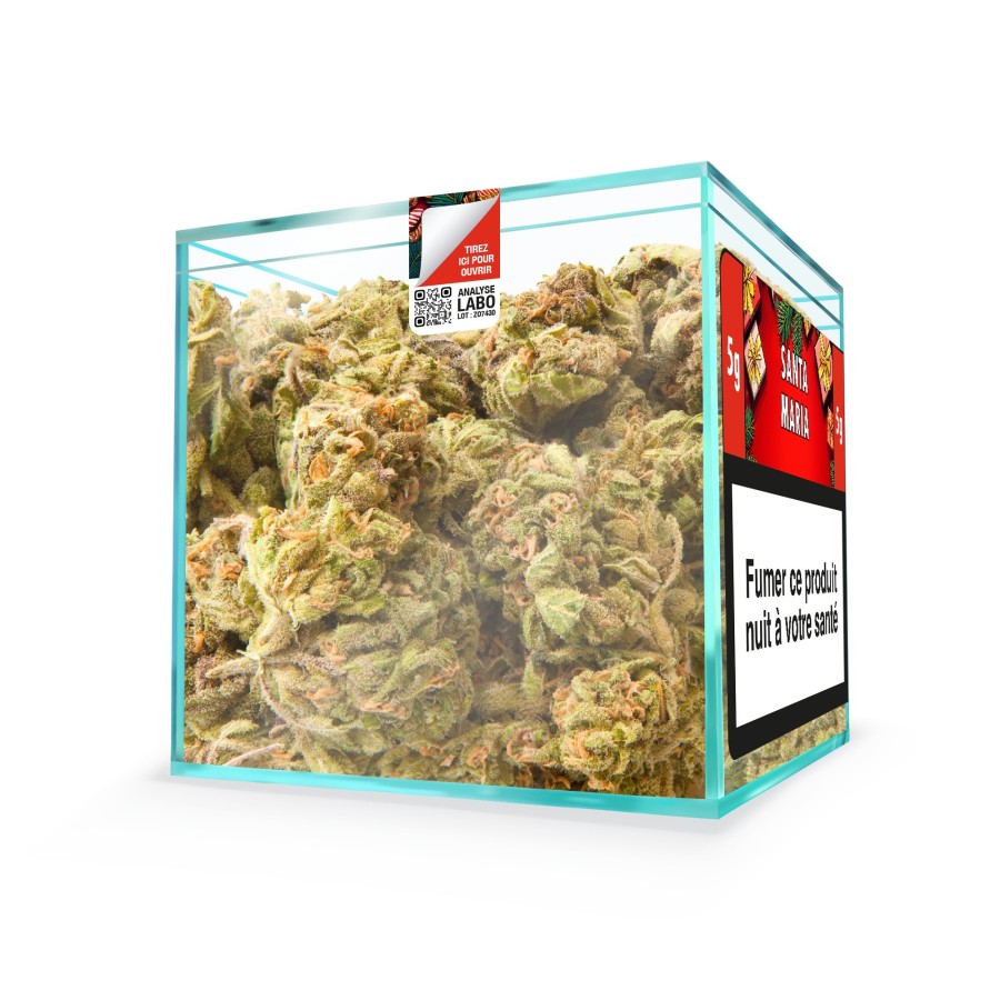 ZION SANTA MARIA - Cube 5g
